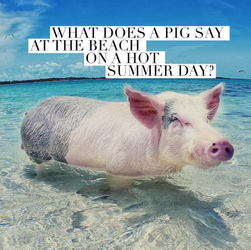 BosGuy brain teaser | BosGuy