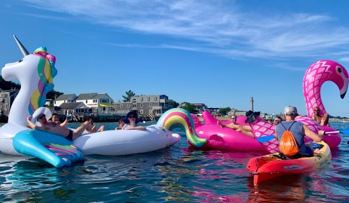 Provincetown unicorn