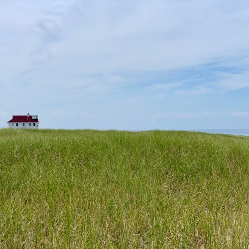 Provincetown dune