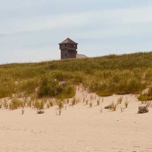 Provincetown dune