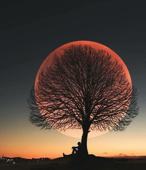 Wonderful Ecuador Instagram Account