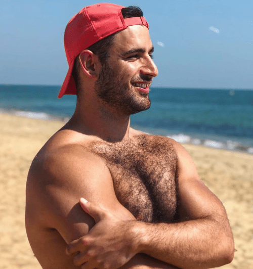 handsome, hairy, furry