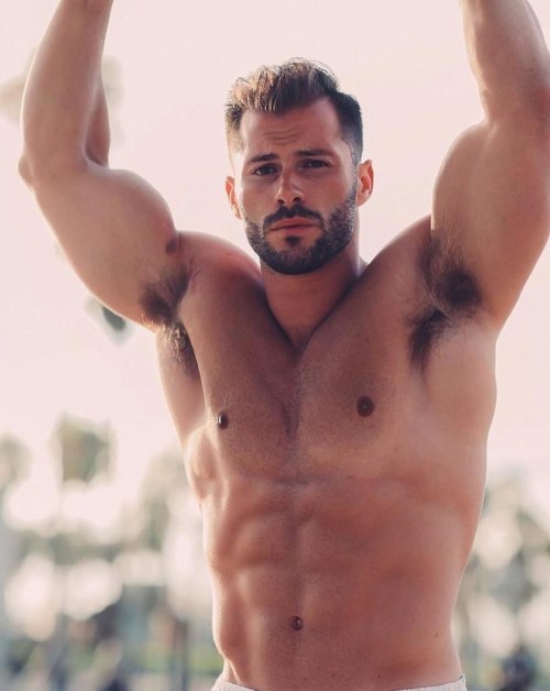 muscular hunk, handsome guy, shirtless man, hairy