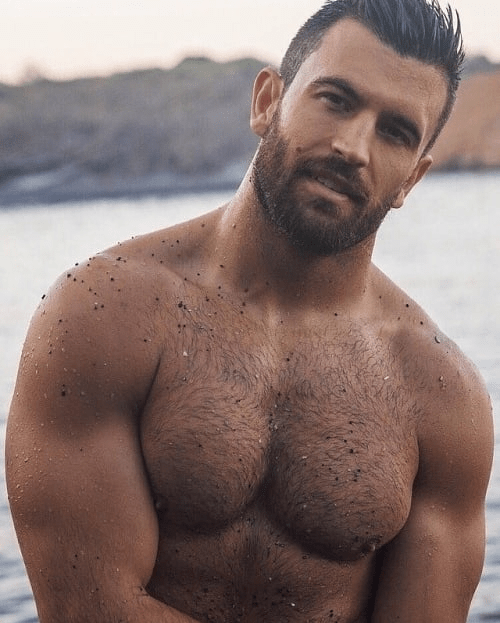 handsome, hairy